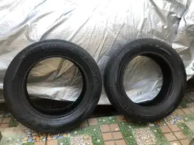 BAN GT CHAMPIRO ECOTEC RING 14