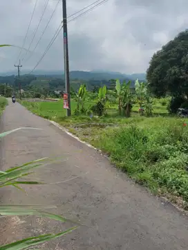 di jual tanah view gunung, sawah & kebun di pamijahan bogor