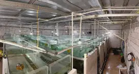 Jual farm ikan dan perlengkapan nya