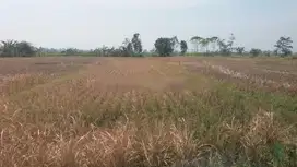 Dijual Tanah Mainroad Jln. Raya Cipatik Soreang Bandung Selatan