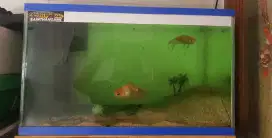 Aquarium apa adanya