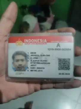 Driver atau sopir