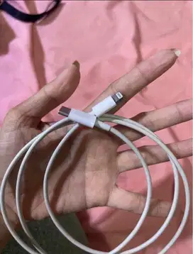Kabel iPhone bawaan, C to Lightning