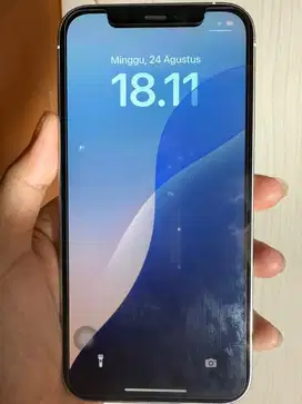 Jual iphone 12 pro