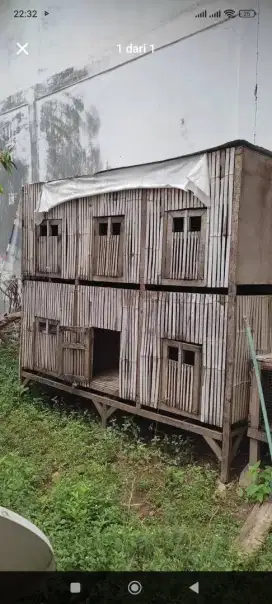 Kandang ayam besar 6 pintu
