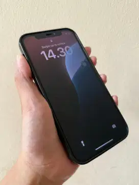 iPhone 12 ex Ibox