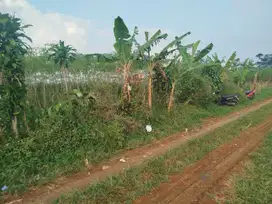 DIJUAL CEPAT ‼️ TANAH PRODUKTIF JATINANGOR