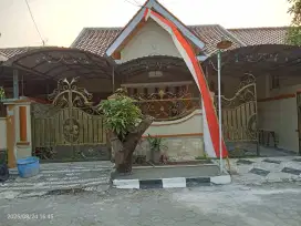 Disewakan Rumah Asri di Perumahan Klipang Green