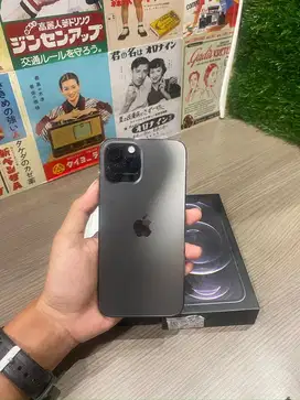 iPhone 12 ProMax 256 inter