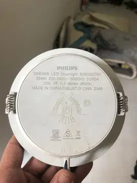 downlight philips