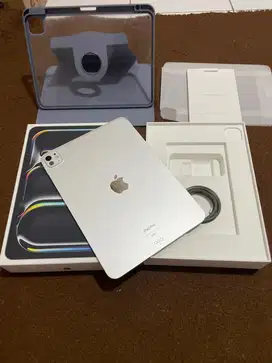 ipad Pro M4 11 inch 256 iBox Lengkap