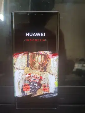 HUAWEI Mate 30 Pro 8/256