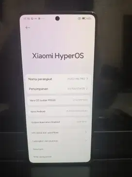Poco M6 Pro 8/256 + charger