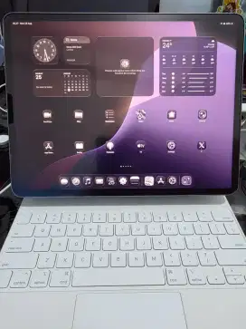 Ipad pro M2 cellular