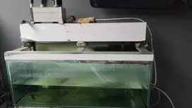 Jual Aquarium bekas ukuran 100x40x40 full kaca 8mm