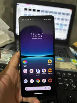Sony Xperia 1 Mark IV 12/256