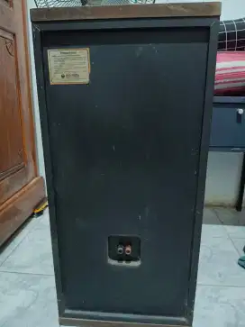 Speaker AR 10 inch