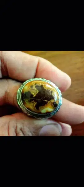 BATU AKIK MOTIF IKAN KOKI