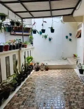 Bebas Banjir, Hook, siap Huni, Nego