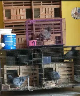 Jual semua aja minat langsung chat aja