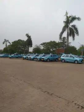 lowongan supir mobil