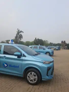 lowongan supir mobil