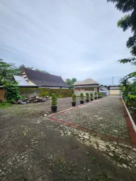 Tanah dijual bonus rumah/nego