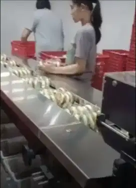 DIBUTUHKAN SEGERA karyawan packing roti