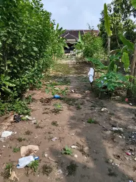 Tanah Pekarangan Murah Dalam Ringroad Kasihan Bantul TP 086