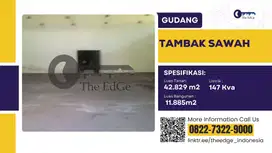 Sewa Gudang Tambak Sawah Sidoarjo - The EdGe