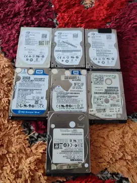 Harddisk 2.5 Sentinel 100%