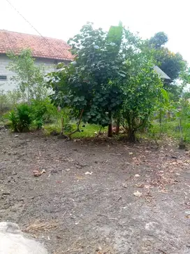 Dijual Tanah Pekarangan Becirongengor Wonoayu Sidoarjo