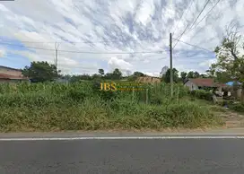 Jual Tanah Kosong Daerah Tongging Jalan Besar Kabanjahe Merek - Karo