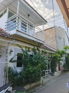 Jual Rumah Kos Siap Cuan Pulo Wonokromo Surabaya Jawa Timur