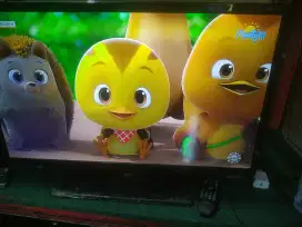 TV led 32  digital polytron