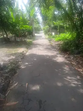 tanah koroulan jl cangkringan  kalasan