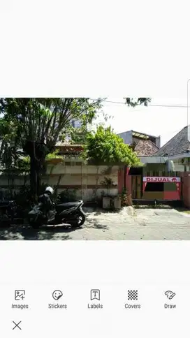 Ngagel tama tengah