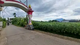 Tanah Cifor Promo Fresh Launching Dekat SDN Situ Gede 04