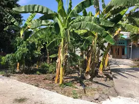 DIJUAL TANAH SEKITARAN JETIS BANTUL YGYA