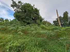 DIJUAL CEPAT TANAH  DIBAWAH NJOP GUNUNG SINDUR