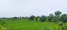 1,8 jt per m²! Tanah Poros Jalan Provinsi Pandaan