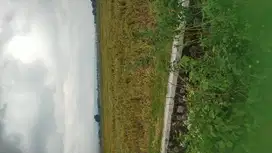 Jual tanah murah  Bagus untuk  usaha bengkel ,rumah hunian  kolam ikan