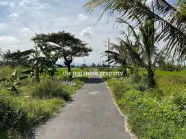 tanah murah di timur pasar jangkang