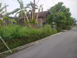 tanah strategis dekat palang joglo dan padar nusukan