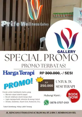 prife wellness gallery puri