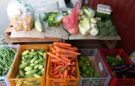 Tenaga kasar warung sayur sembako