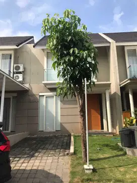 Sewa Rumah 2 Lantai Di Citragrand Sambiroto Tembalang Semarang