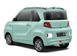 DSFK Seres Fairy Green