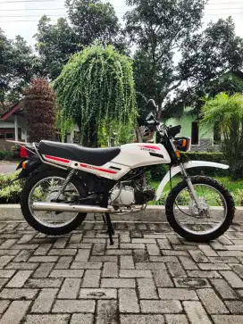 Win 100 THN 1989