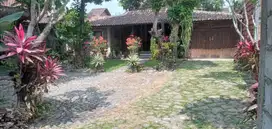 Villa Cantik Full Furnish di Desa Wisata Tembi Bantul VL 009